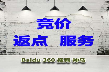 SEM优化策略：实战案例解析